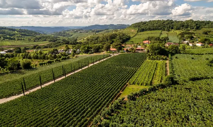 Câmara de Bento altera texto do PlanVale após impasse e propõe teto para construções