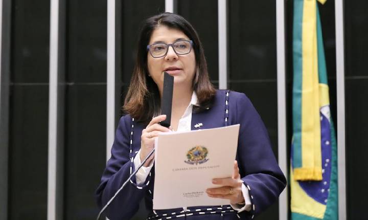 Comissão debate assistência consular e proteção de brasileiros no exterior