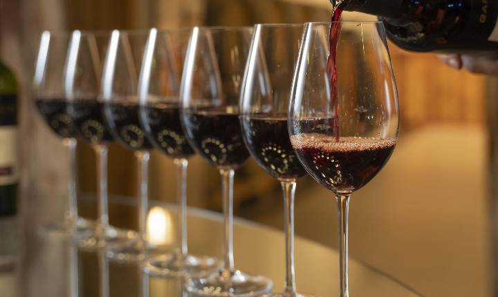Cooperativa Vinícola Garibaldi apresenta resultados e oportunidades para a vitivinicultura Brasileira
