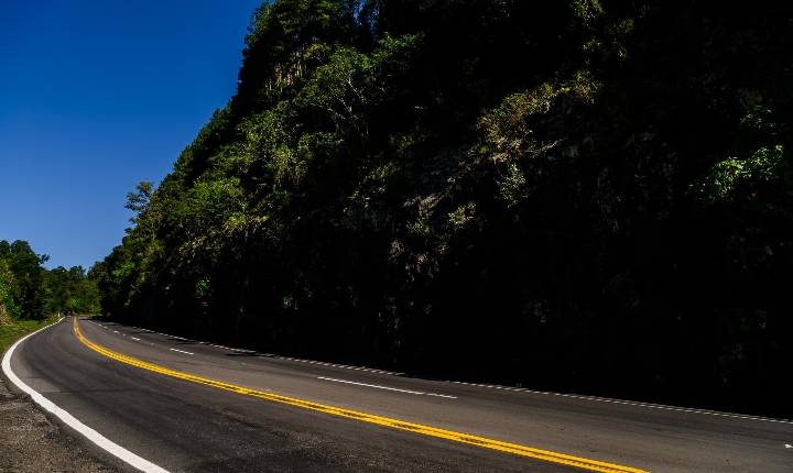 CSG lança projeto para prevenir atropelamentos durante o inverno nas rodovias