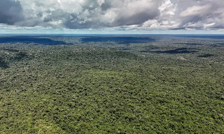Fazenda autoriza crédito de US$ 1 bilhão do BID para Eco Invest Brasil
