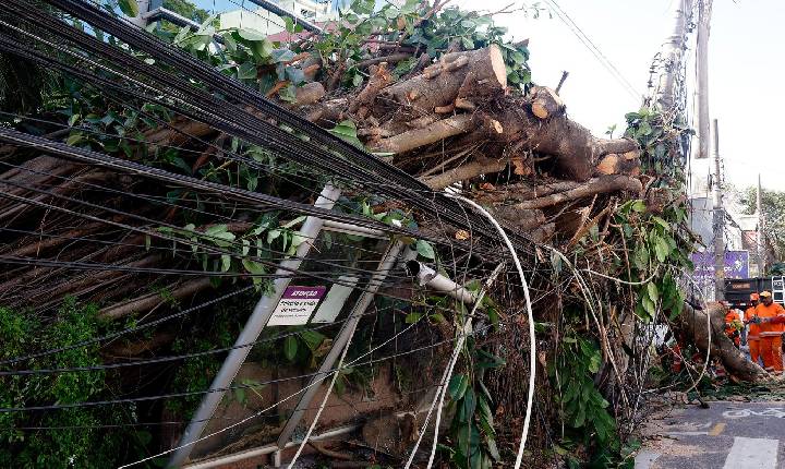 Mais de 200 mil continuam sem energia no Rio após vendaval