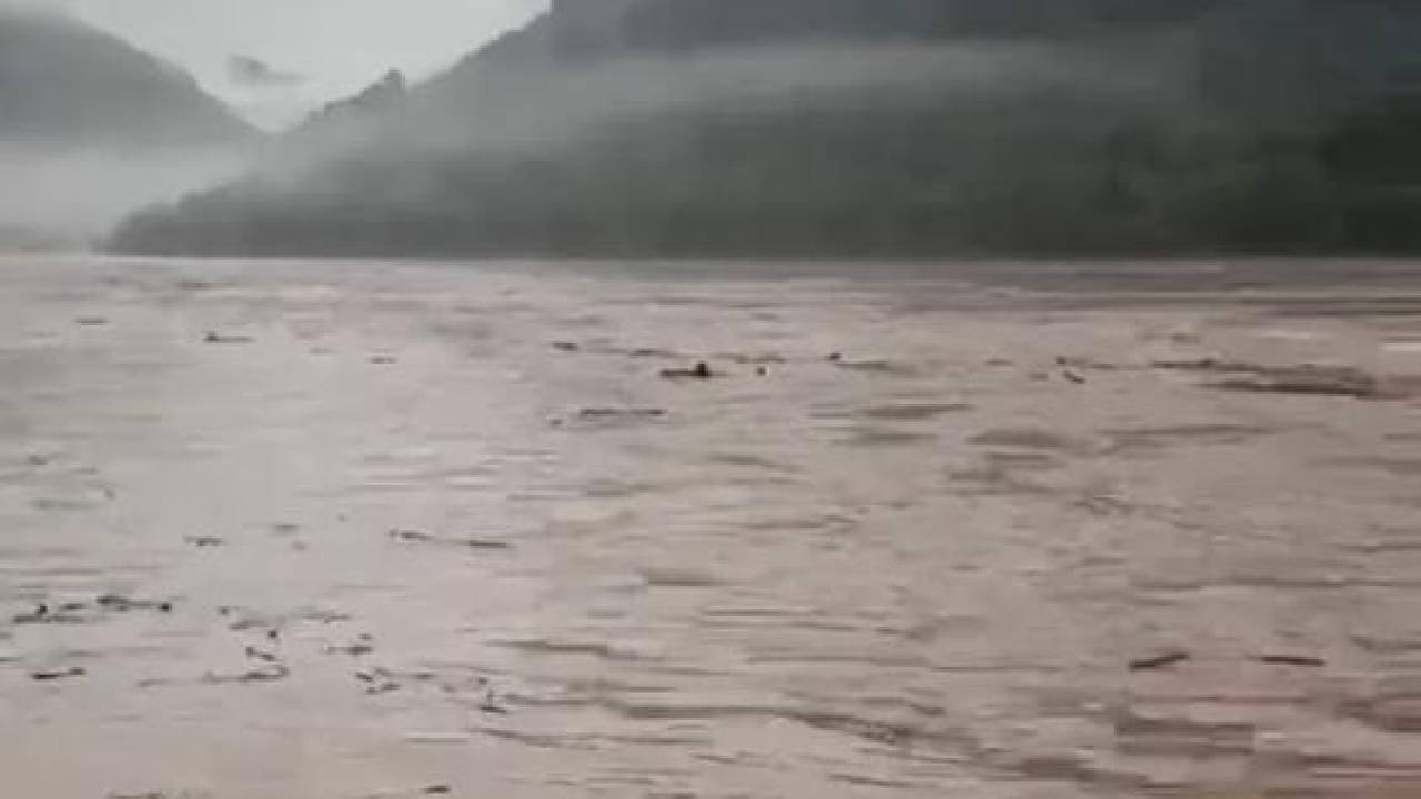 Rio das Antas ultrapassa cota de inundação e Defesa Civil realiza evacuações em Bento