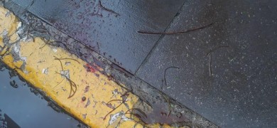 homem-sofre-tentativa-de-homicidio-na-avenida-osvaldo-aranha-em-bento