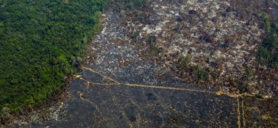 desmatamento-na-amazonia-quase-dobra-ate-agosto-em-relacao-a-2018