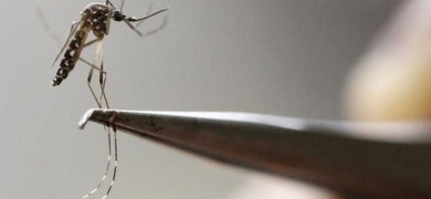 sobe-para-65-numero-de-mortes-por-dengue-no-rio-grande-do-sul-em-2022
