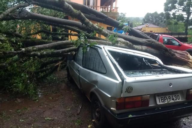 Temporal destelha casas e derruba árvores em Guabiju, na Serra