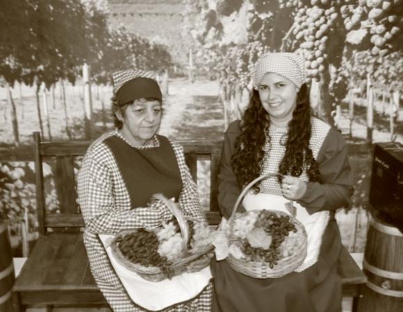 Vencedores do Concurso de Decoração Natalina desfrutam de passeio turístico  em Bento