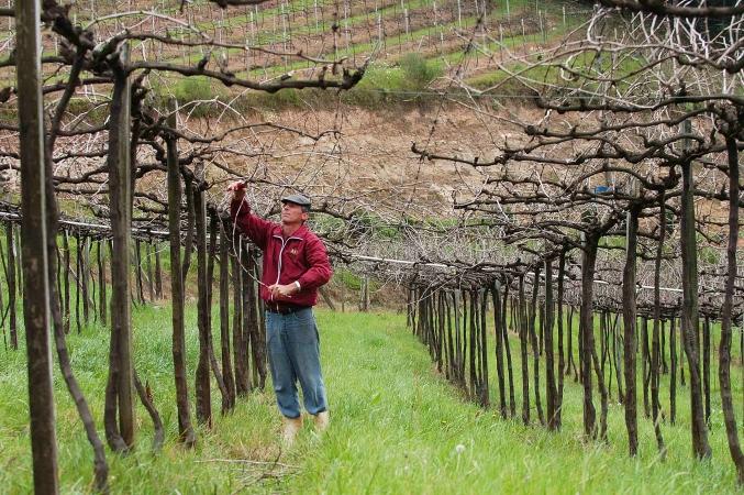 Bento Gonçalves está entre os melhores municípios para se visitar no inverno