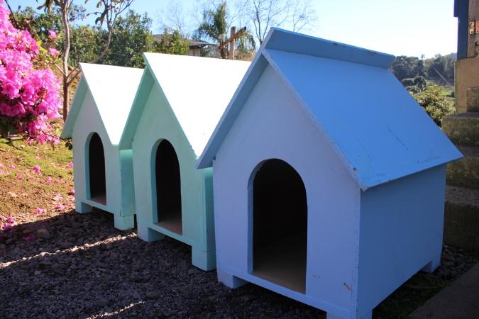 Projeto posse responsável já entregou 33 casinhas de cachorro à comunidade em Bento