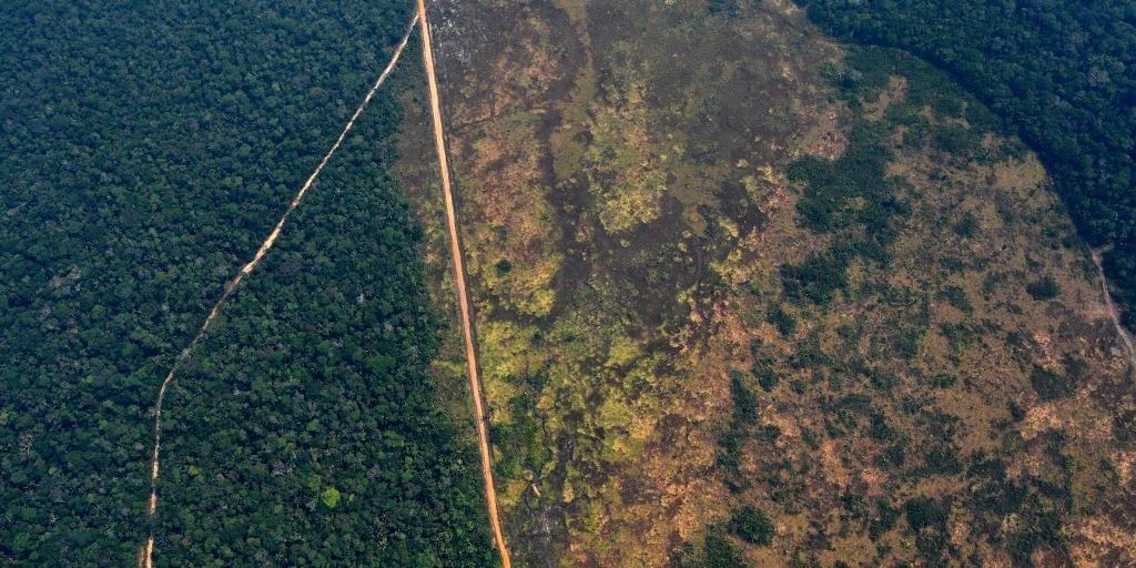 Trump oferece ajuda a Bolsonaro para controlar incêndios na Amazônia