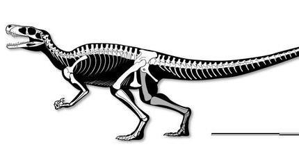Fóssil de um dos mais antigos dinossauros predadores do mundo é encontrado no RS