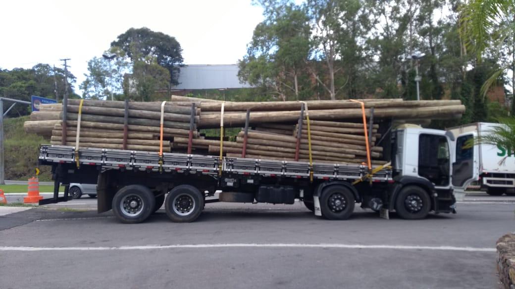 PRF prende motorista que dirigia caminhão sob efeito de medicamento inibidor de sono em Bento