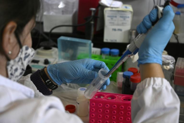 Argentina desenvolve soro terapêutico para tratar pacientes com coronavírus