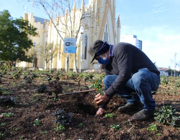 Praça das Rosas recebe o plantio de 200 mudas de flores em Bento
