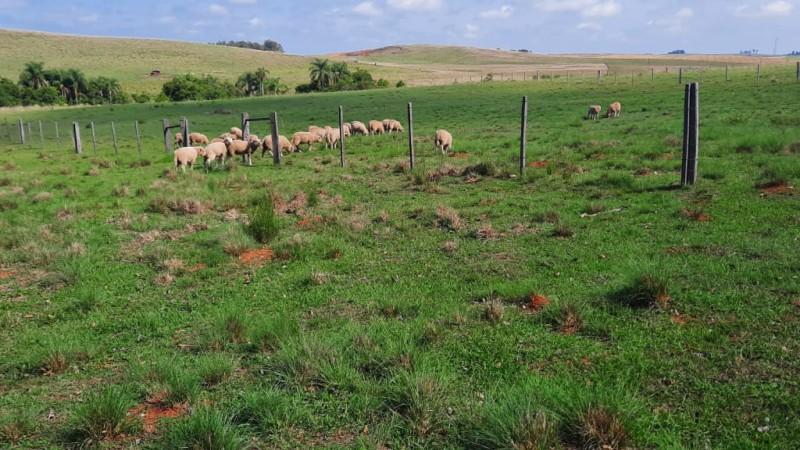 Sema emite primeira certificação do programa Campos do Sul para propriedade rural em Alegrete