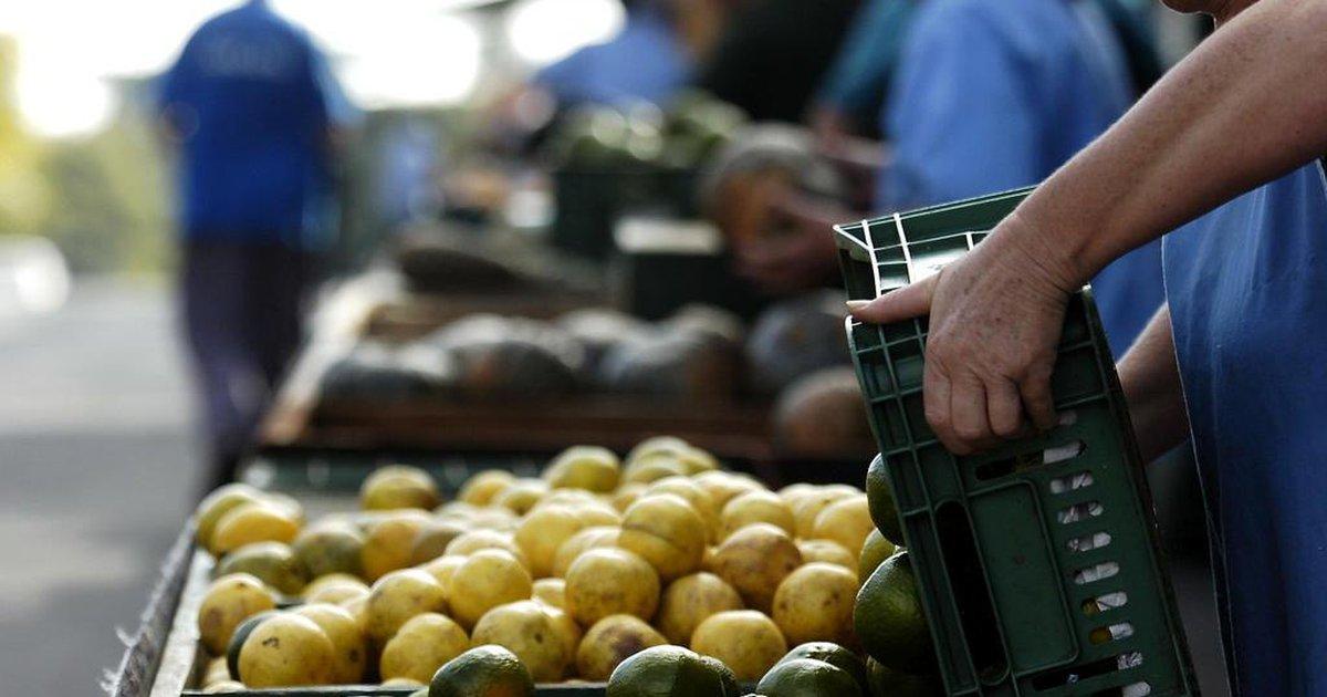 Feira Livre está confirmada para ocorrer sábado em Bento