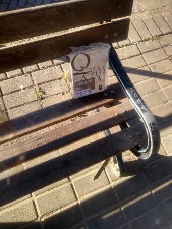 Projeto Livro Encontrado distribui cerca de 100 livros em diversos pontos de Bento