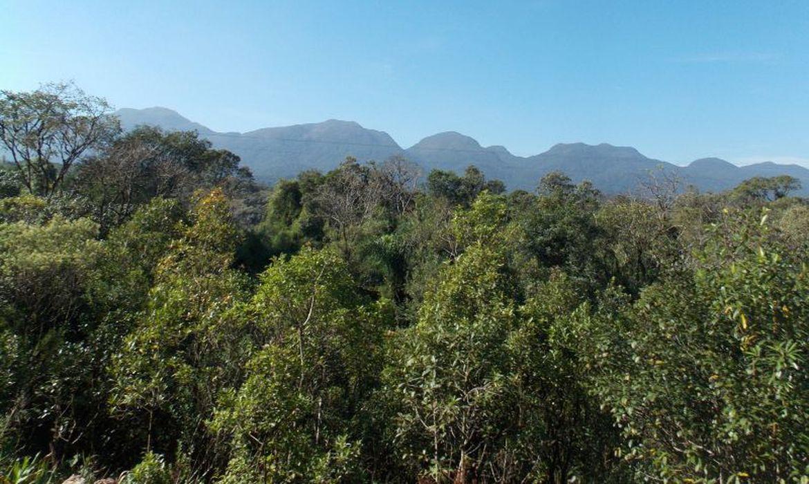 Desmatamento da Mata Atlântica cai 9% no País em 2020