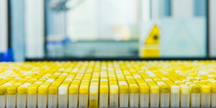 RS deve receber mais de 395 mil doses de vacina contra o coronavírus do Ministério da Saúde