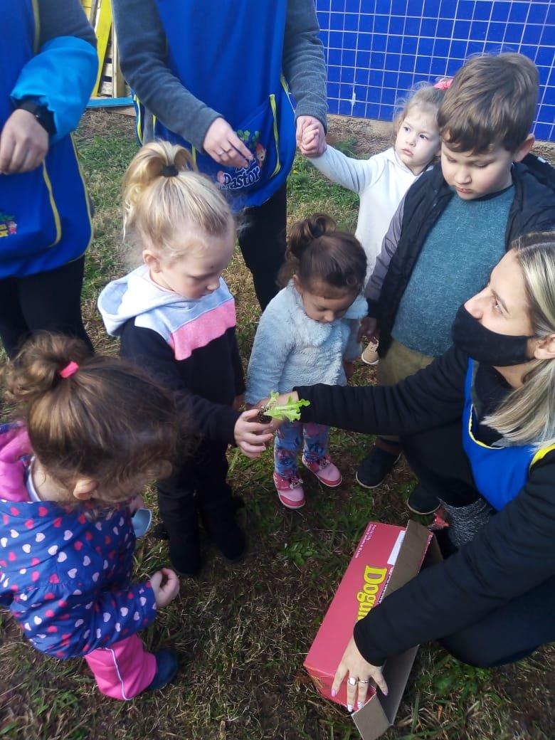 EMI Bom Pastor proporciona vivências com a natureza por meio de seu projeto anual