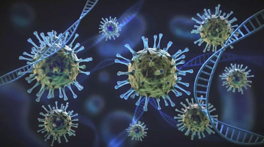 Rio Grande do Sul tem 52 casos confirmados da variante delta do coronavírus