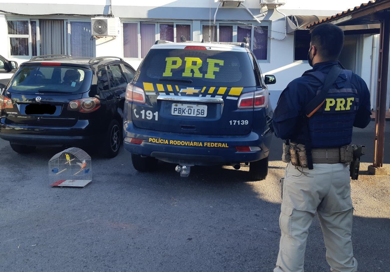 PRF prende casal com carro furtado em Bento