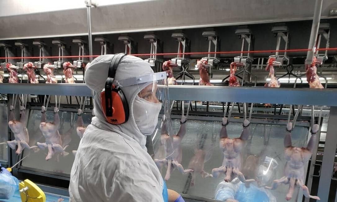 Preço do frango sobe quatro vezes mais que a inflação em 2021