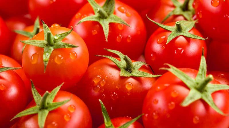 Tomate é um importante aliado contra o câncer de intestino e próstata