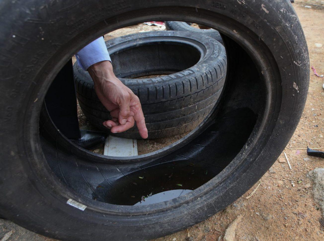 Com mais quatro mortes, sobe para 12 o total de óbitos por dengue no RS em 2022