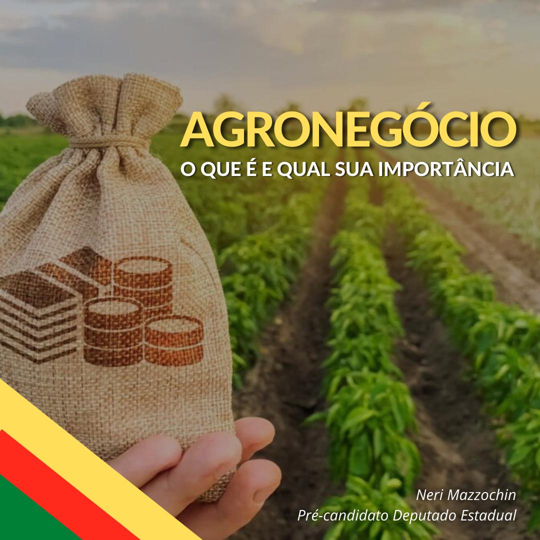 Mazzochin relata que agronegócio ganha força no Estado