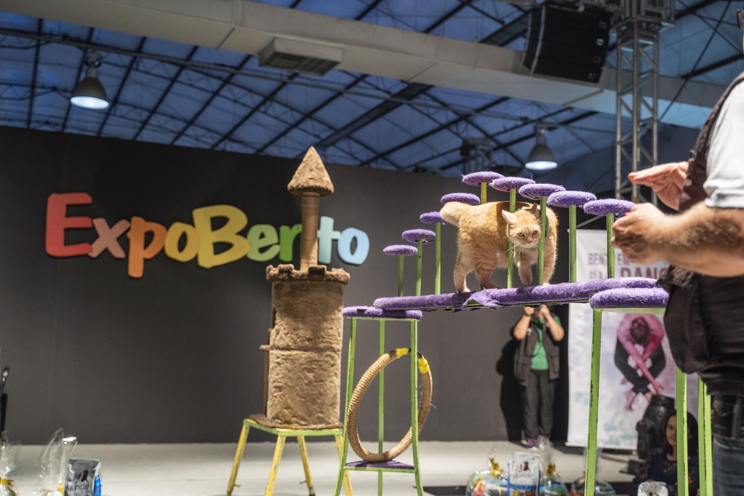 Desfile Pet retorna com novidades à 30ª ExpoBento