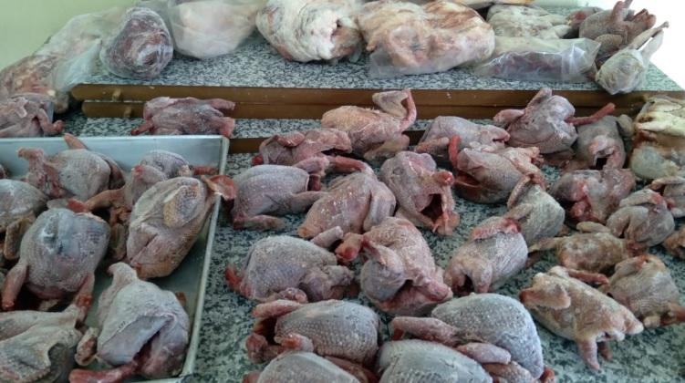 Polícia Civil apreende aves, carne de caça em Bento e outras cidades do Estado