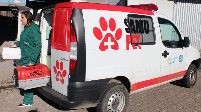 Ações do bem-estar animal seguem intensas em Bento