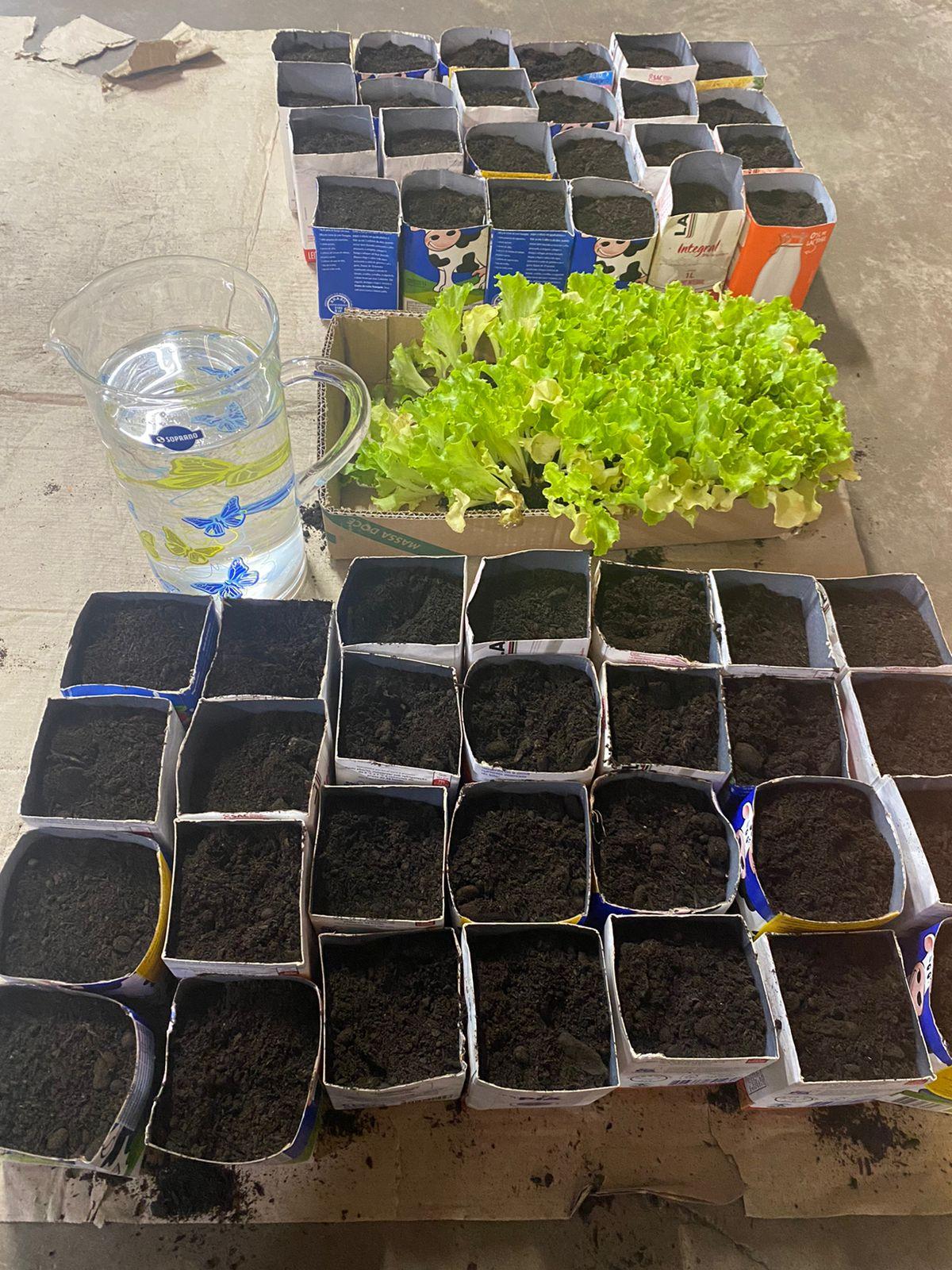 Projeto Semeando Vida beneficiou 16 escolas e 515 crianças