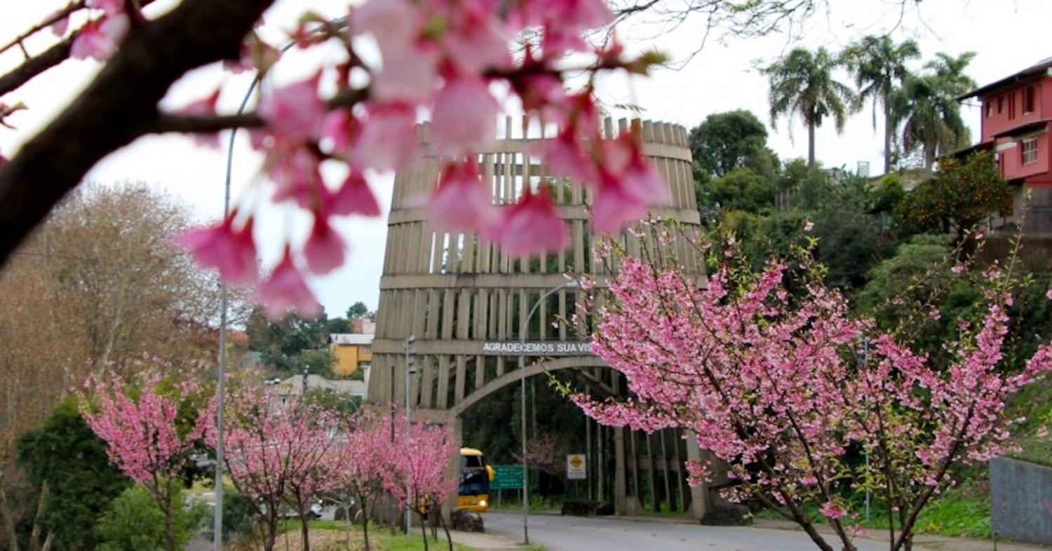 132 anos de Bento são celebrados nesta terça-feira