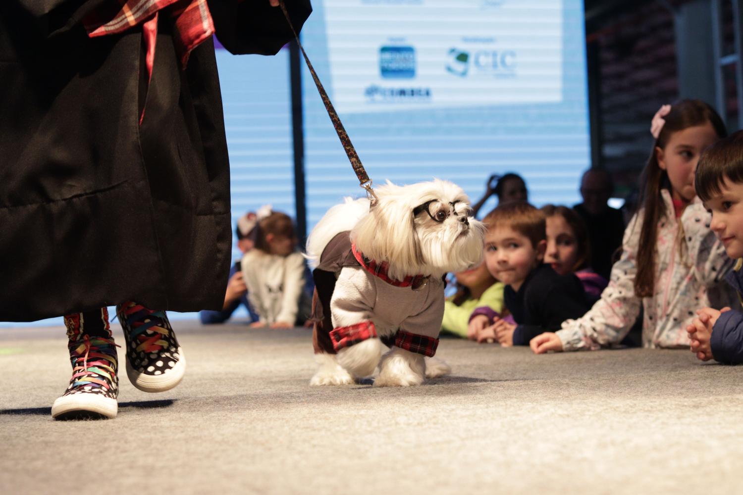Pets ganham programação especial durante a 31ª ExpoBento