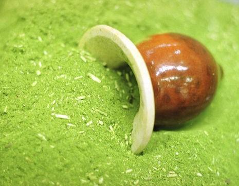 Erva-mate é o primeiro patrimônio cultural imaterial do Rio Grande do Sul