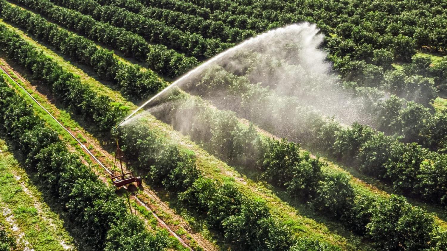 RS é líder em financiamento de projetos de irrigação no Brasil