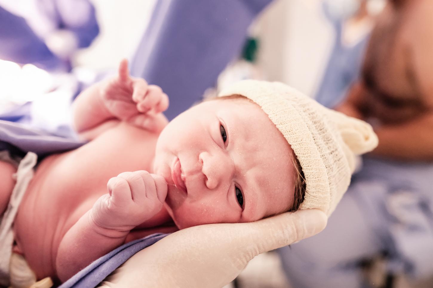 Tacchini Bento Gonçalves realiza 1.668 partos no último ano