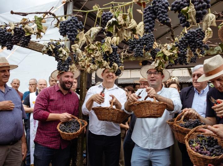 Abertura da colheita é realizada em Bento Gonçalves