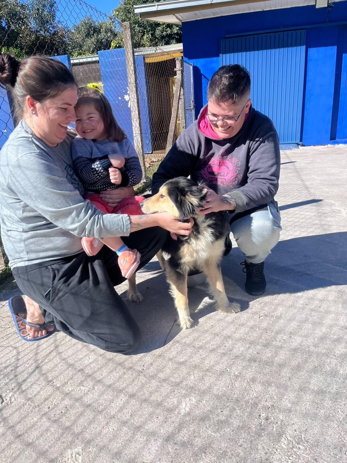 Cão resgatado pela PRF na BR-470 reencontra tutora