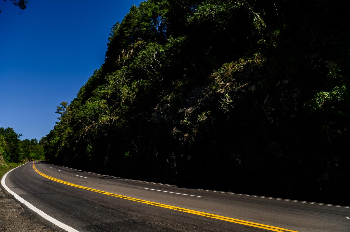 CSG lança projeto para prevenir atropelamentos durante o inverno nas rodovias