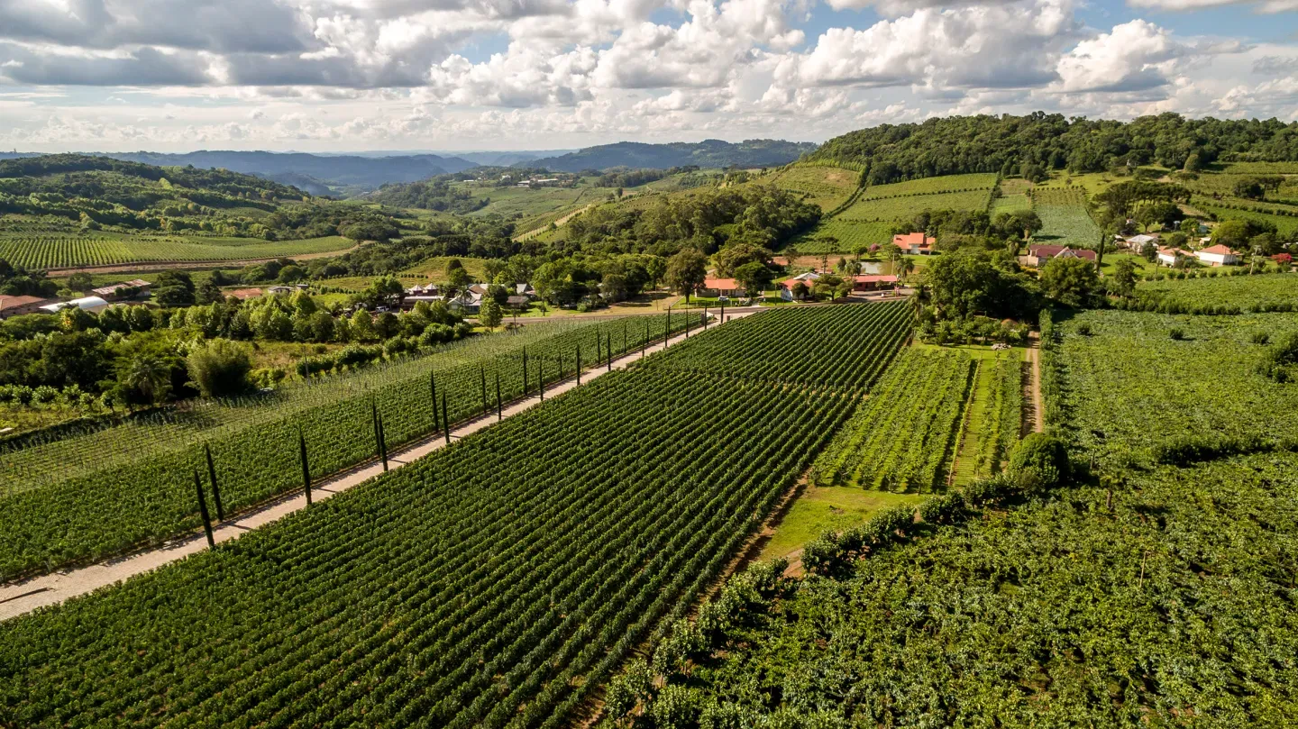 Câmara de Bento altera texto do PlanVale após impasse e propõe teto para construções