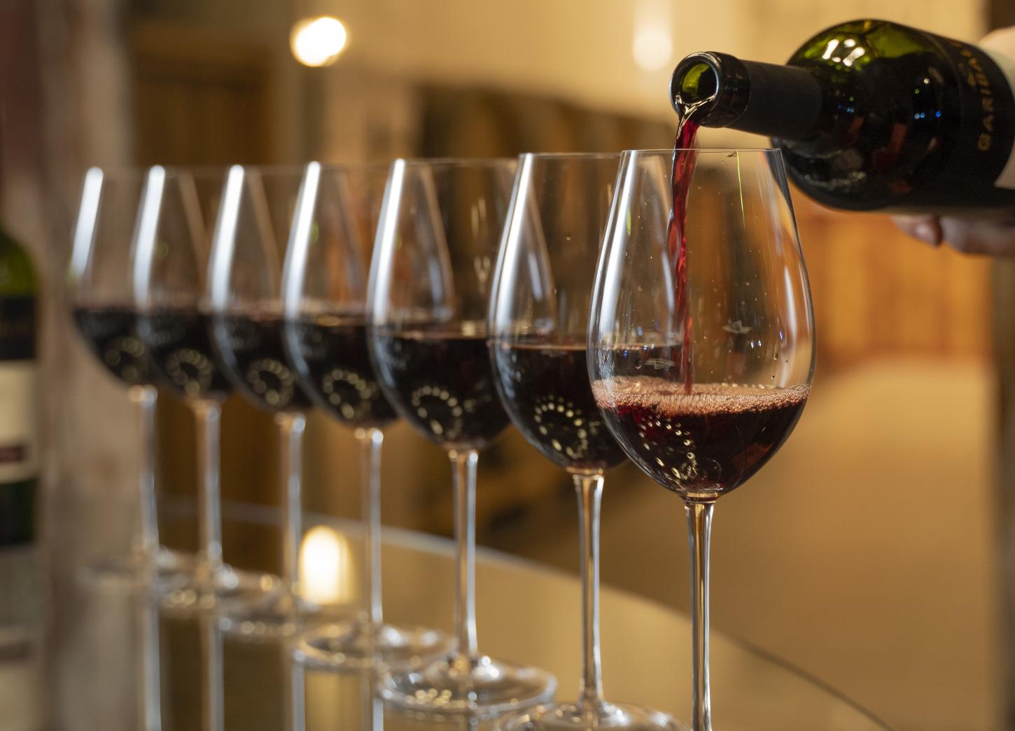 Cooperativa Vinícola Garibaldi apresenta resultados e oportunidades para a vitivinicultura Brasileira