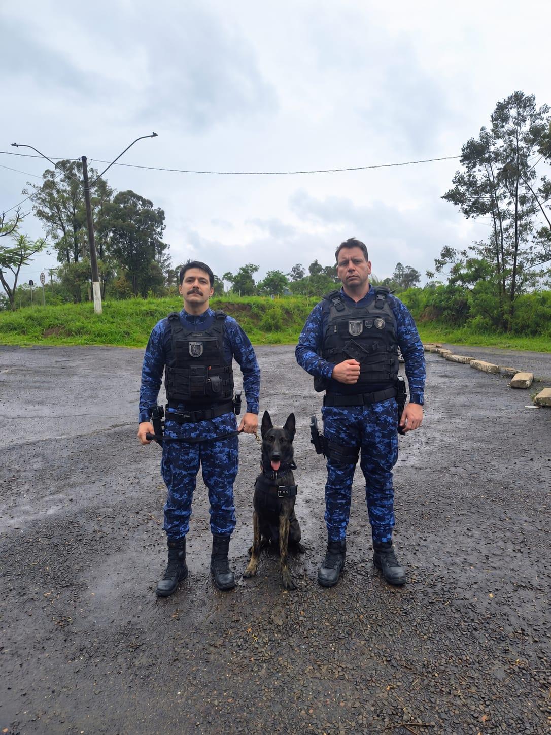 GCM de Bento conclui curso de capacitação em condução de cães policiais